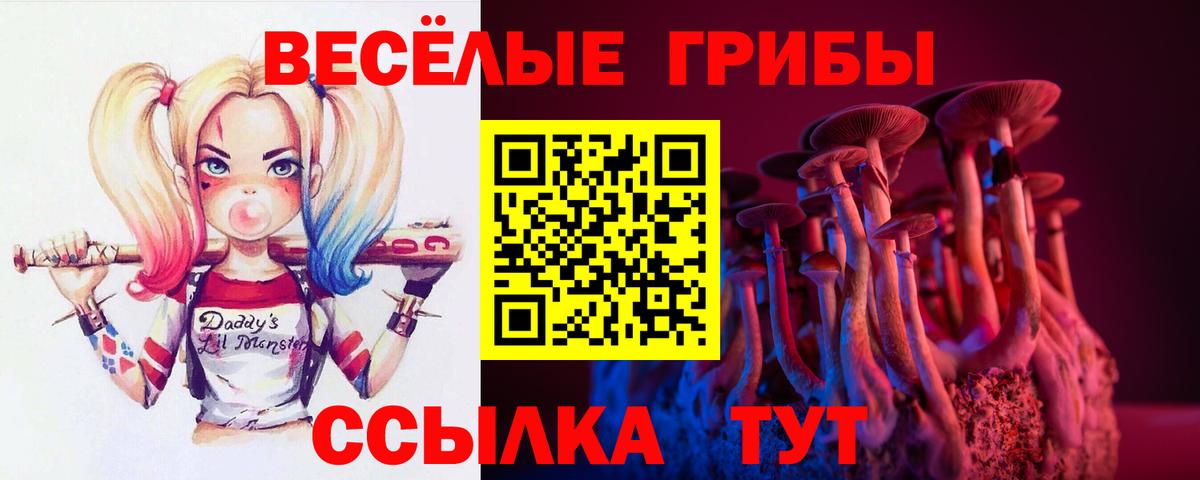 Минусинск  Галлюциногенные грибы мухоморы  Вход с VPN  Псилоцибиновые грибы мицелий 