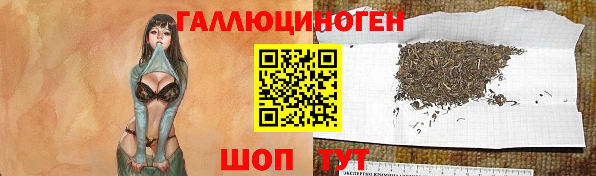Галлюциногенные грибы мицелий Минусинск